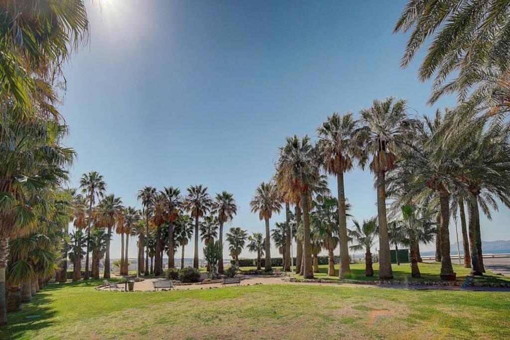 Le Palm - 100M Plage - Croisette - Verriere Cote D'Azur Διαμέρισμα Κάννες Εξωτερικό φωτογραφία